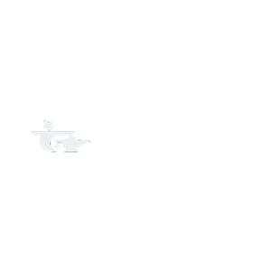 JinoBet 500x500_white